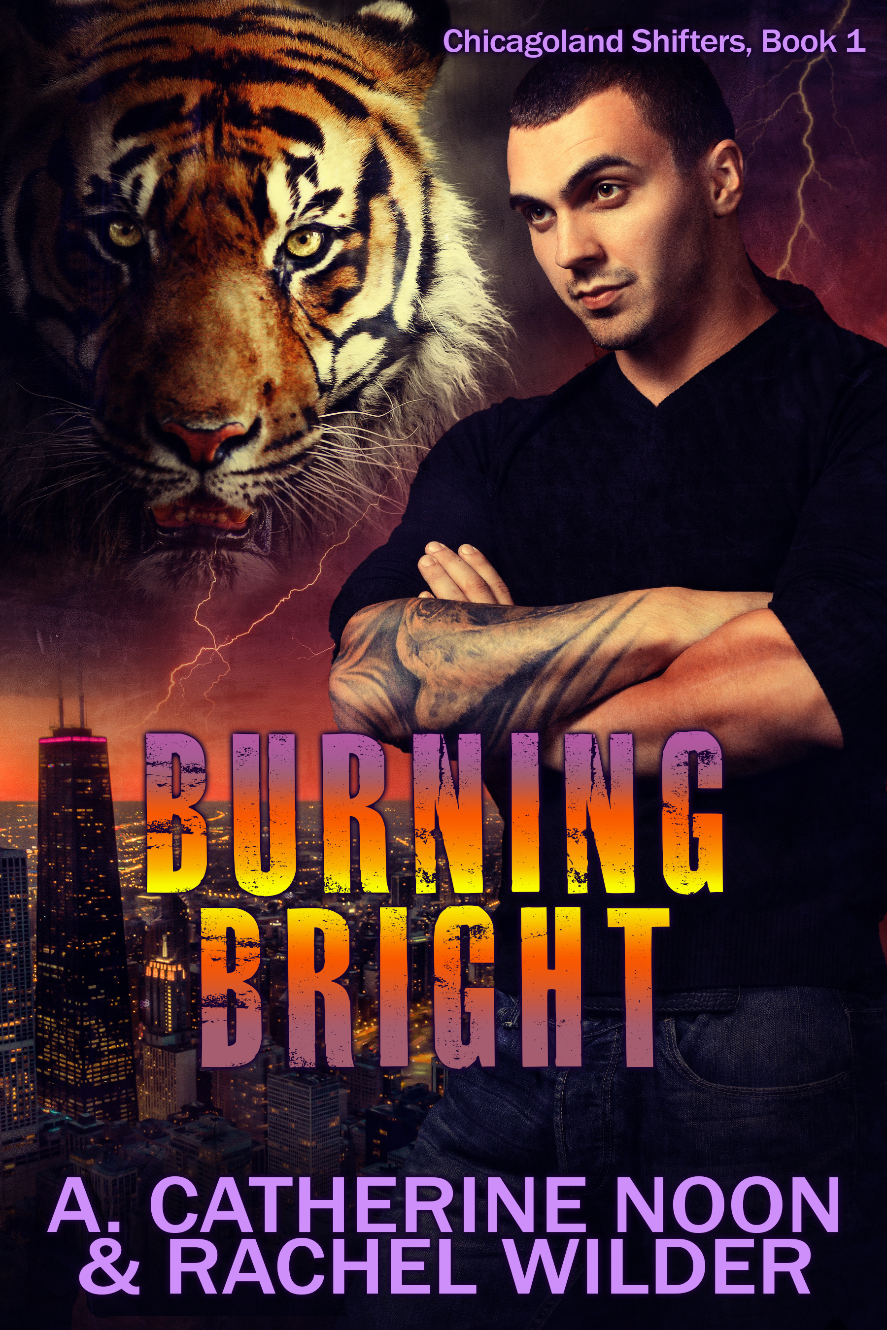 Chicagoland Shifters